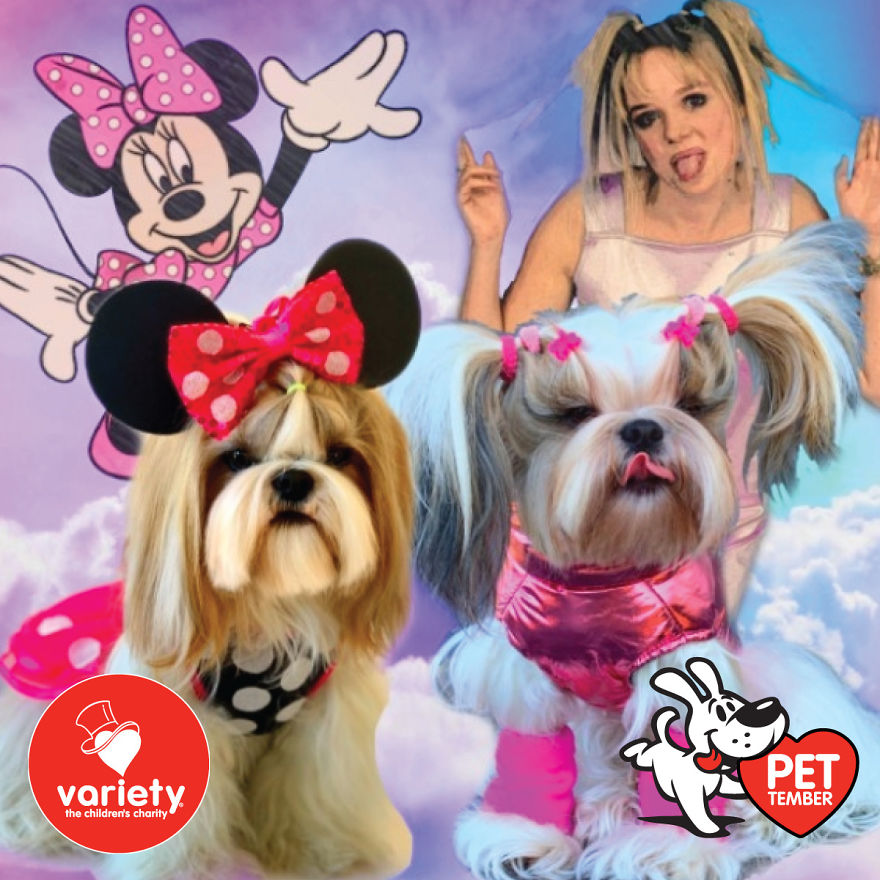 The Cutest Pics Ever From Petember -
australia’s Charity Dog Fashion Competition The Cutest Pics Ever From Petember -
australia’s Charity Dog Fashion Competition