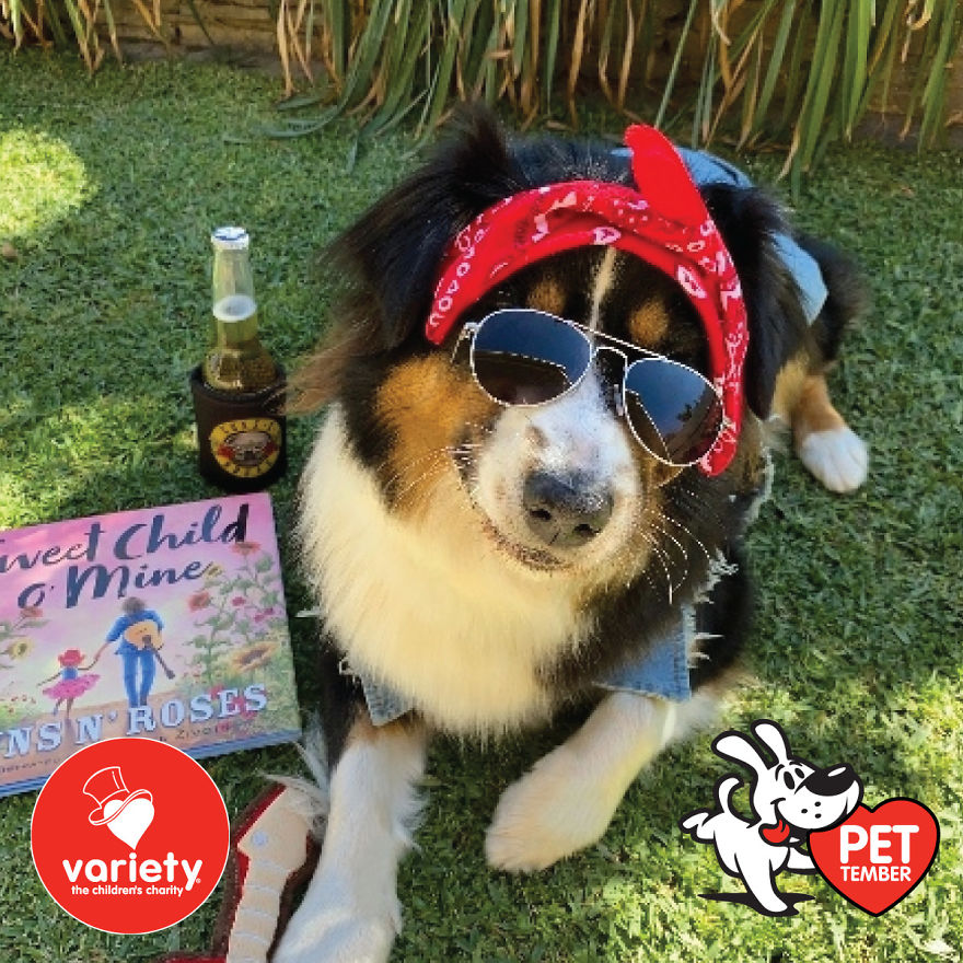 The Cutest Pics Ever From Petember -
australia’s Charity Dog Fashion Competition The Cutest Pics Ever From Petember -
australia’s Charity Dog Fashion Competition