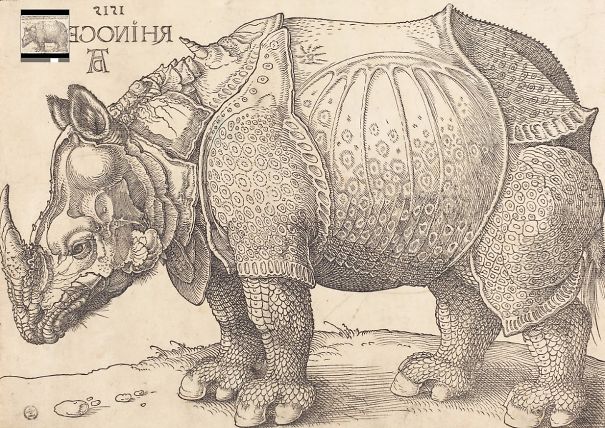 The_Rhinoceros_-_Albrecht_Durer__Google_Arts___Culture-5f7e38018d8bc-png.jpg