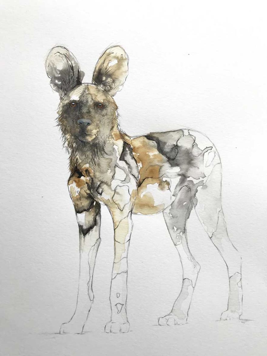 Wildlife Coffee Artworks