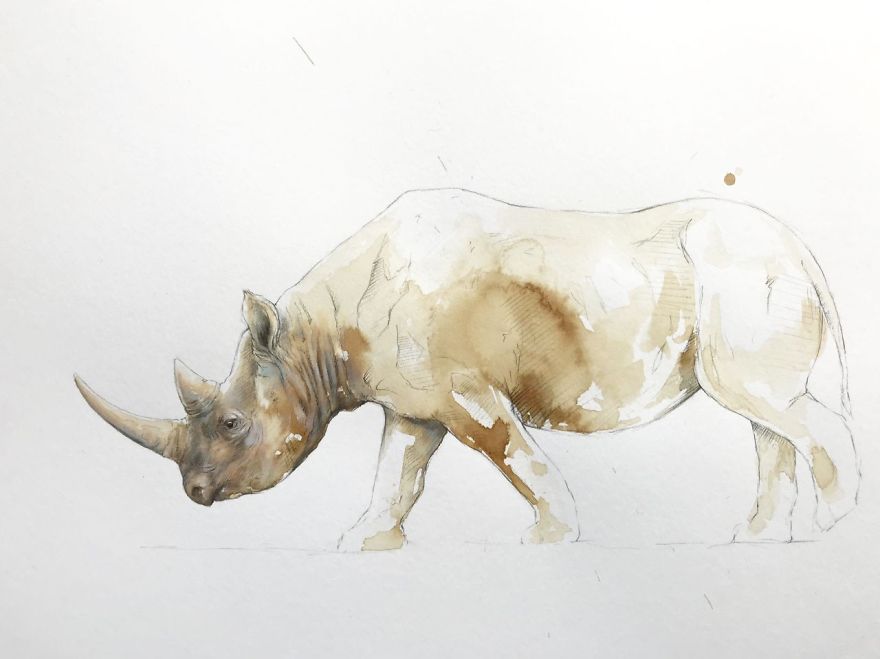 Wildlife Coffee Artworks