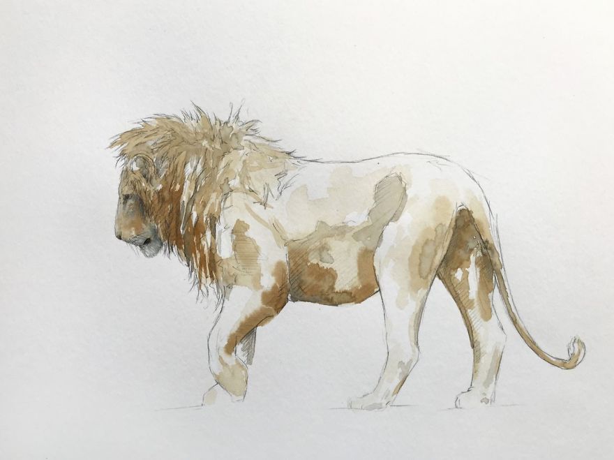Wildlife Coffee Artworks