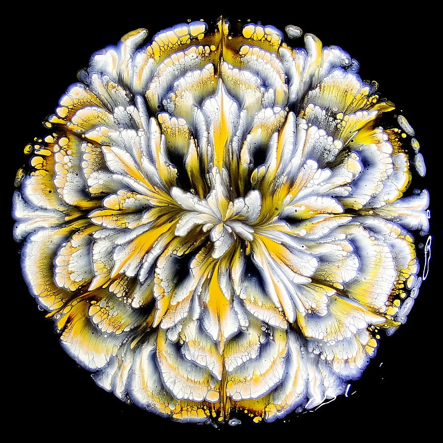 Black & White & Gold ~ Cup Bottom Reverse Flower Dip ~ Acrylic Pour Painting Black & White & Gold ~ Cup Bottom Reverse Flower Dip ~ Acrylic Pour Painting