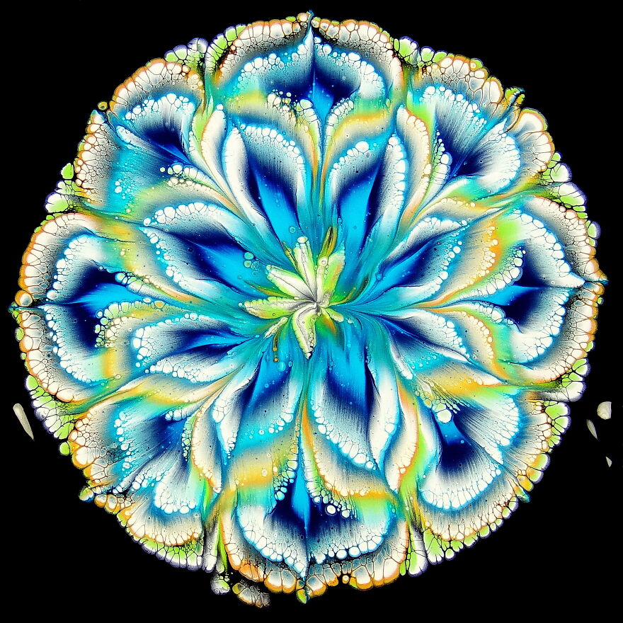 (Premiera) Perfect Lacing With Mod Podge Pearl ~ Acrylic Pour Flower ~ Reverse Flower Dip (Premiera) Perfect Lacing With Mod Podge Pearl ~ Acrylic Pour Flower ~ Reverse Flower Dip