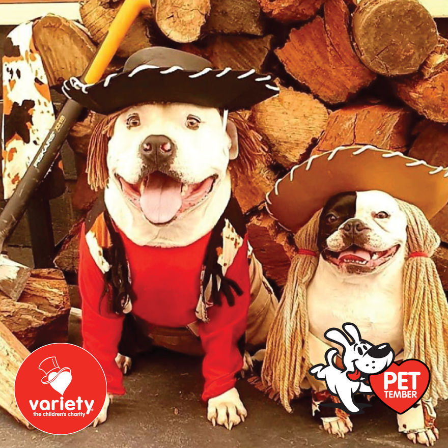 The Cutest Pics Ever From Petember -
australia’s Charity Dog Fashion Competition The Cutest Pics Ever From Petember -
australia’s Charity Dog Fashion Competition