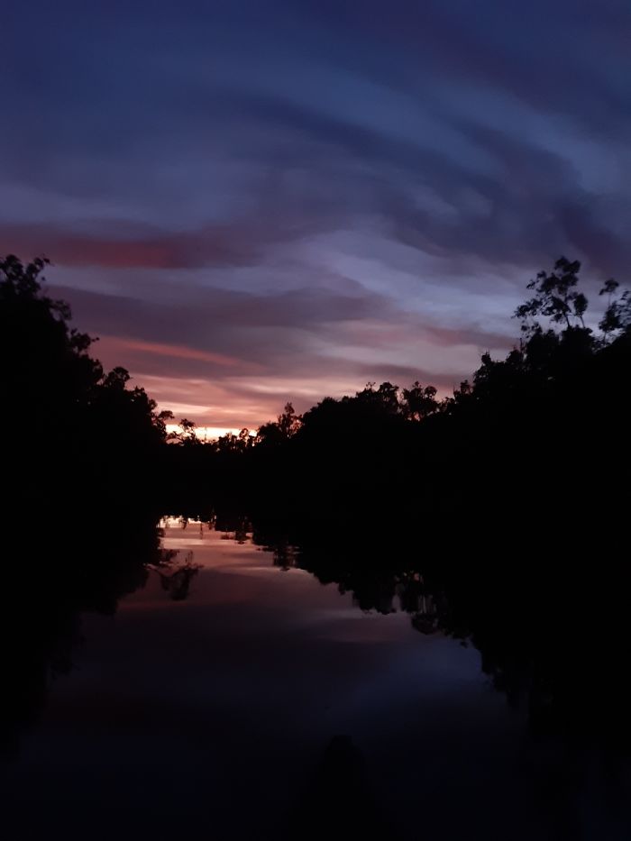 Sunset In Sekonyer River, Borneo, Indonesia