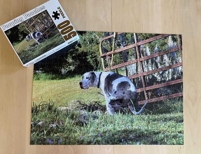 2021 Pooping Dogs Calendar Is Finally Here, And This Year Contains A Puzzle