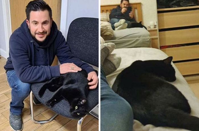 Security Guard Fed A Seemingly Stray Cat For Years, Later Found Out She Was Actually 60 Miles Away From Home So He Returned Her