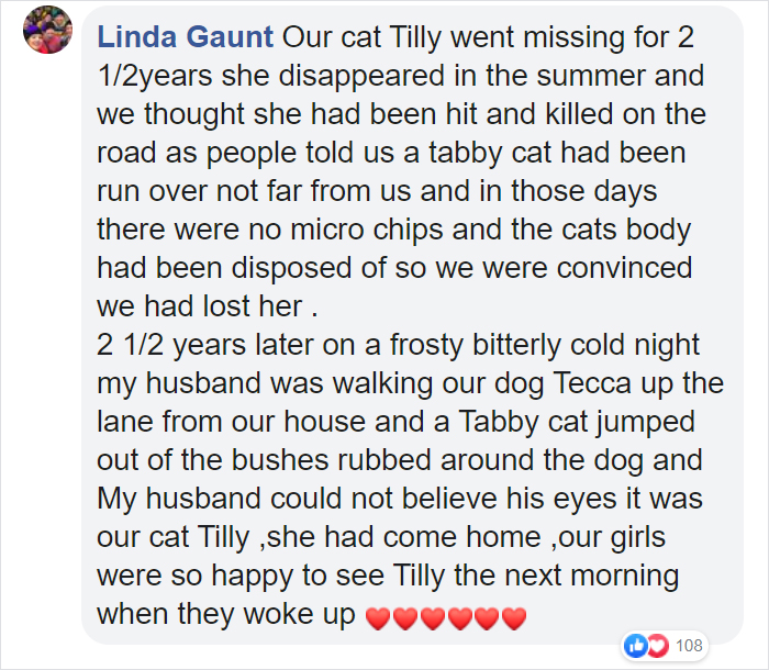 Security Guard Fed A Seemingly Stray Cat For Years, Later Found Out She Was Actually 60 Miles Away From Home So He Returned Her