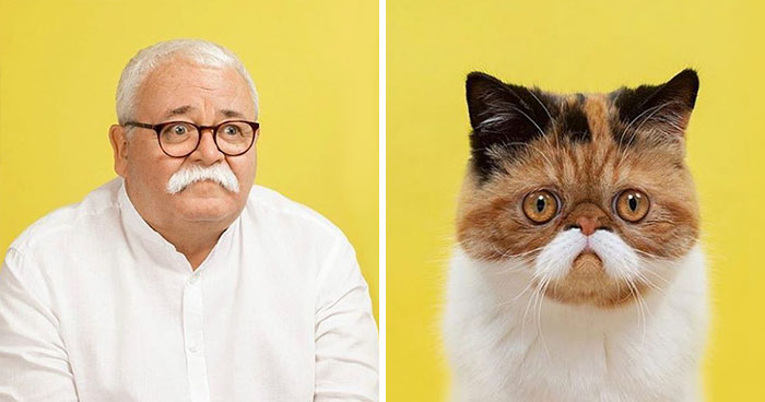Photographer Takes Pictures Of Cats And Humans That Are Doppelgangers (17 Pics)