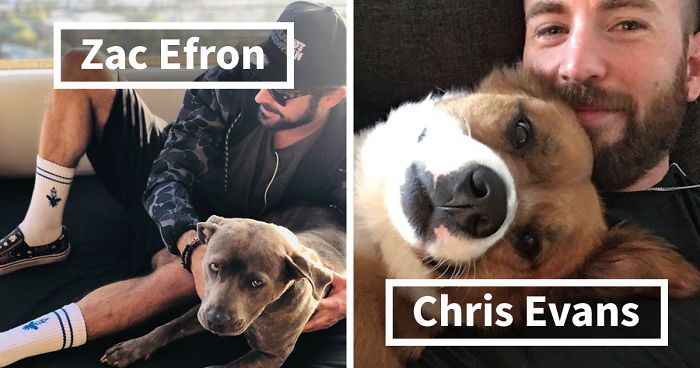 25 Celebs Who Adopted Animals From Shelters Or Rescued Them From The  Streets | Bored Panda