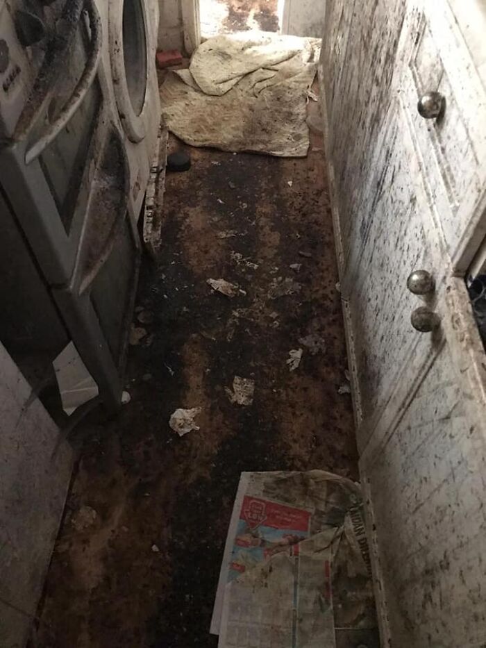 'Limpieza de 50 horas': El servicio de limpieza comparte las fotos de antes y después de limpiar la casa de un anciano viudo que parecía infernal