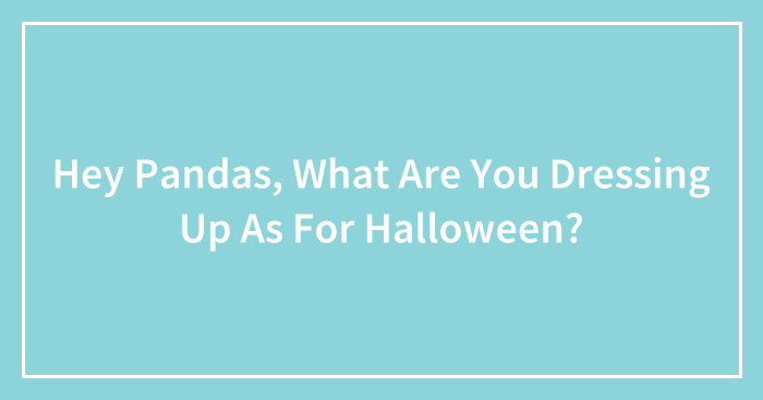 Hey Pandas, What Are You Dressing Up As For Halloween? (Closed)