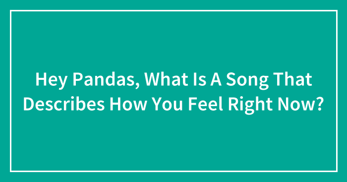 Hey Pandas, What Is A Song That Describes How You Feel Right Now? (Closed)