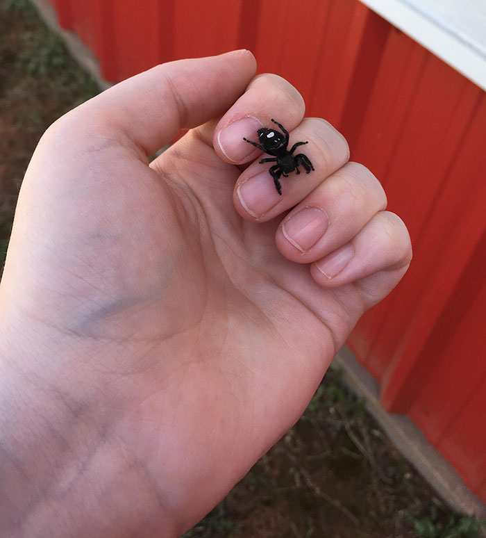 A Friend That Almost Landed On A Kid’s Head At Work