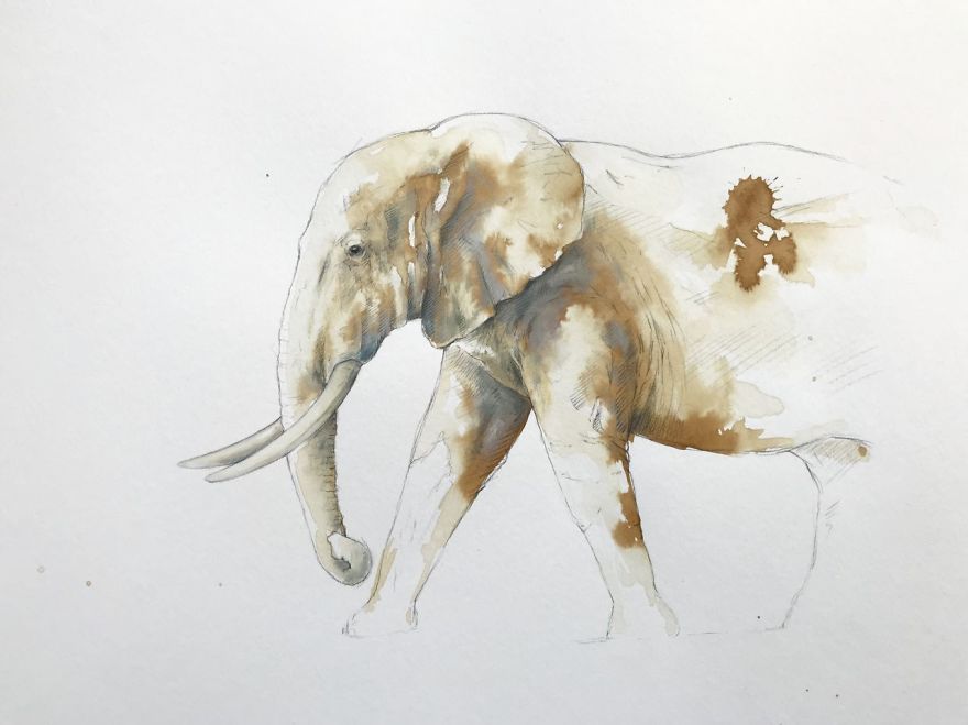 Wildlife Coffee Artworks
