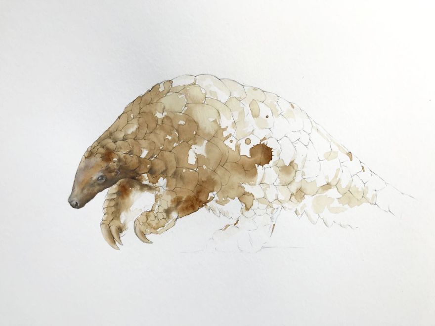 Wildlife Coffee Artworks