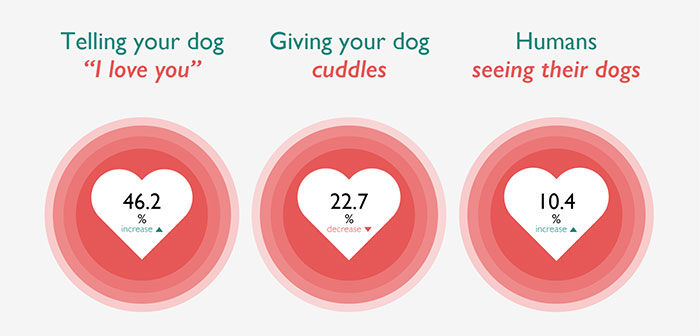 It Turns Out, Dogs React To You Saying 'I Love You' To Them According To This Research
