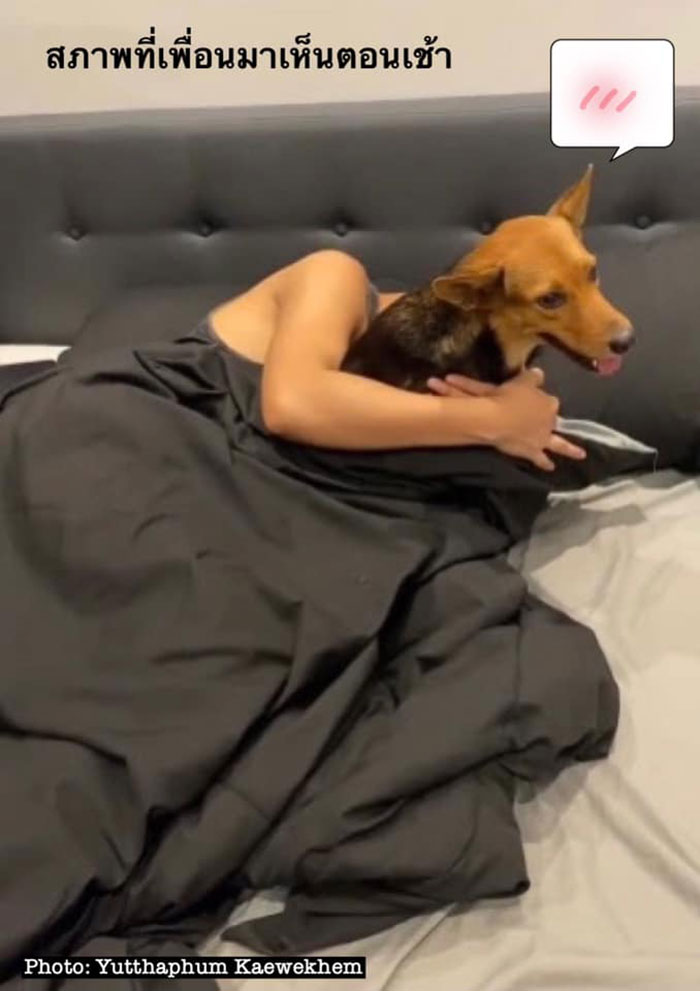 Hungover Guy Wakes Up With A Strange Dog In His Bed, Learns He Adopted Her Last Night