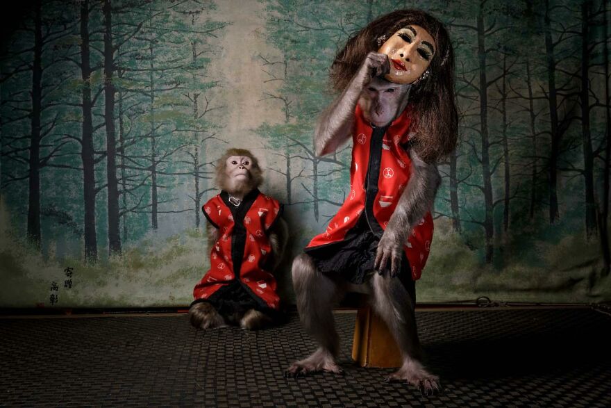 Overall Winner: "A Monkey's Mask" By Jasper Doest (Netherlands)