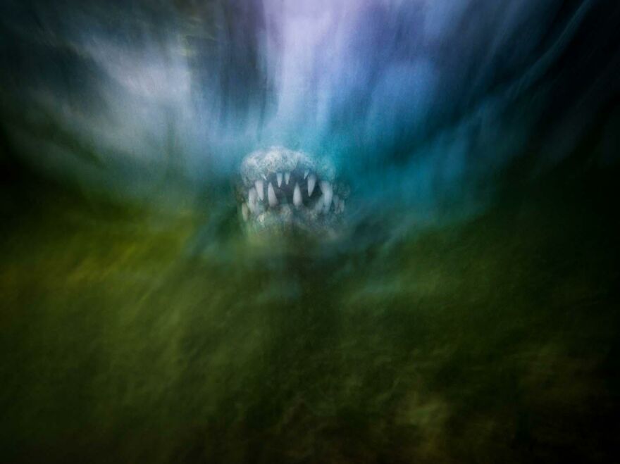 Category The Underwater World: "Croc Impresionism" By Jacob Degee (Pl)