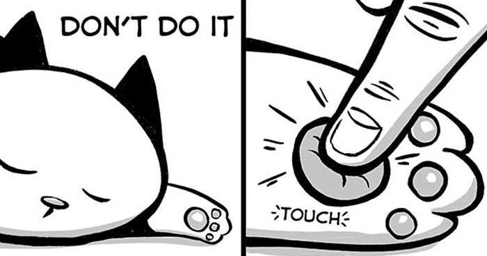 30 Funny Comics About The Reality Of Living With A Cat (New Pics) | Bored  Panda