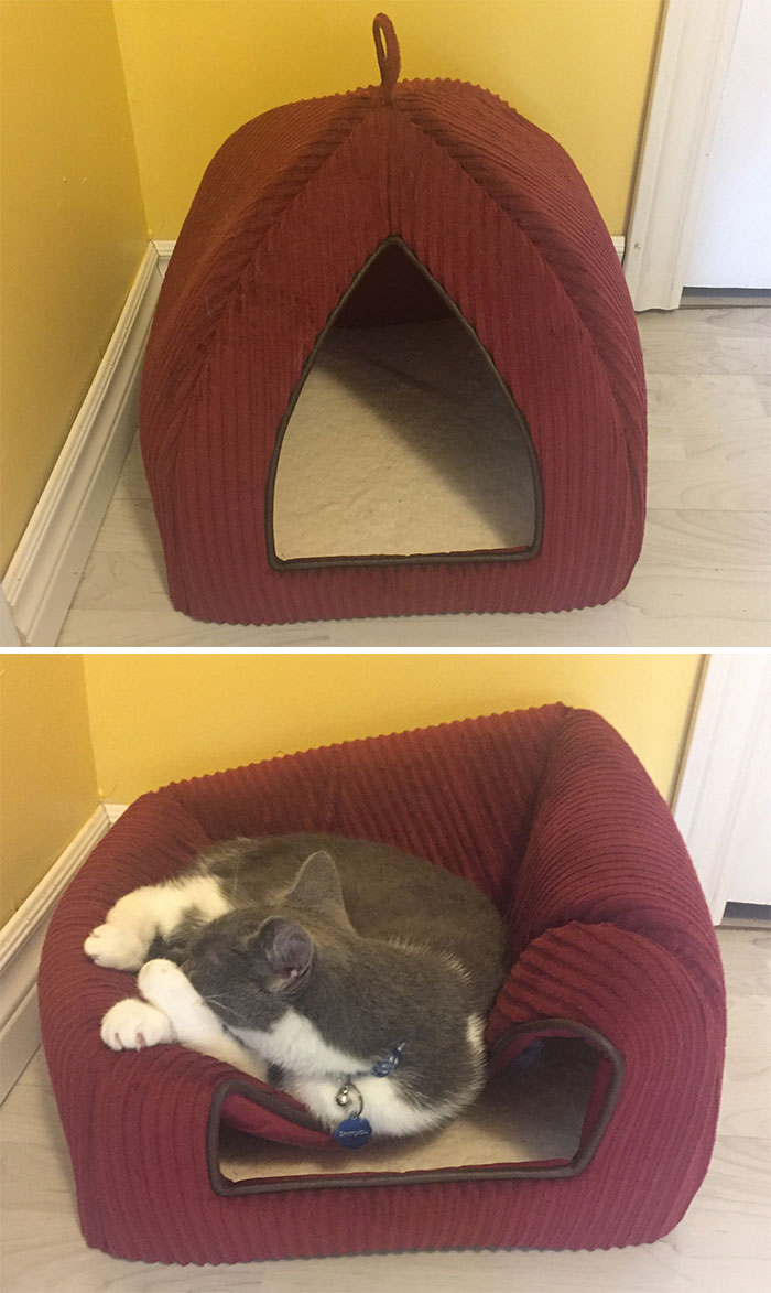 Got Emmylou A Cat Bed