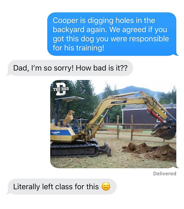 Cooper Leveled Up On Dog Ability