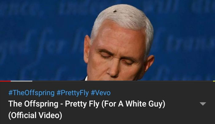 Funny-Mike-Pence-Fly-Landing-Reactions