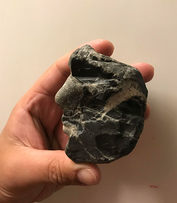 This Rock My Son Found At The Beach Looks Like A Side Profile Of A Human Face