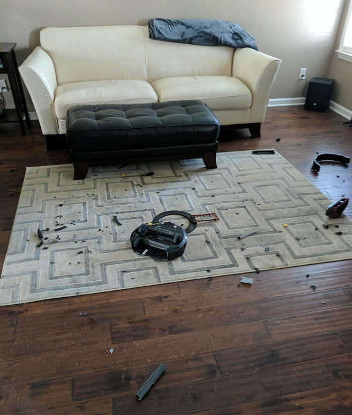 Apparently My Dog Thought The Roomba Was An Assailant