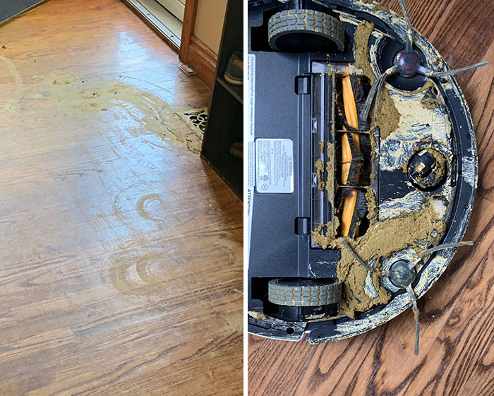 Ran The Robot Vacuum 20 Minutes After Leaving The House. The Dog Evidently Waited Less Than That To Plant A Steamer By The Front Door