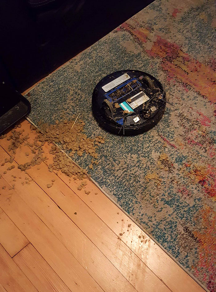 While I Was In The Shower, My Dog Puked Up All Of His Breakfast. Roomba Attempted To Do His Duties, But He Was Not Equipped For This Mission