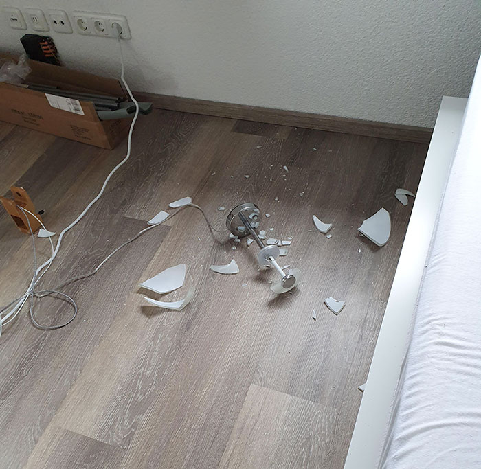 My Mom's Roomba Broke Her Lamp Today