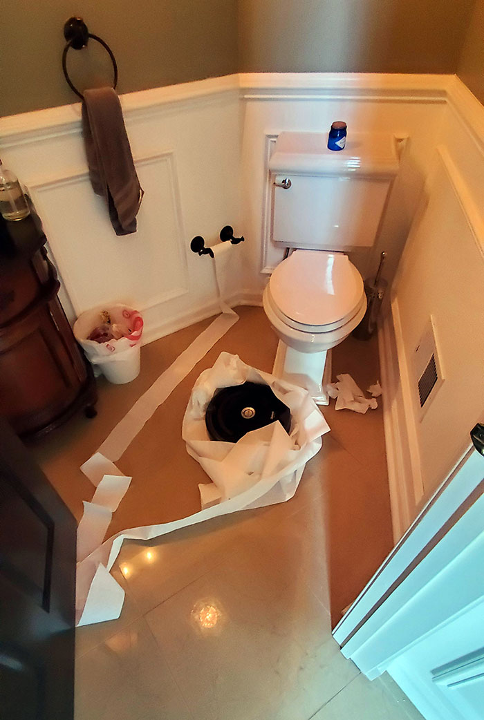 Roomba Got My Last Roll Of Toilet Paper