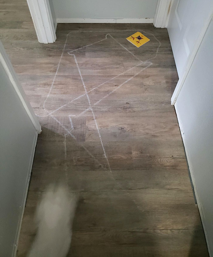 My Robot Vacuum Ate A Piece Of Chalk