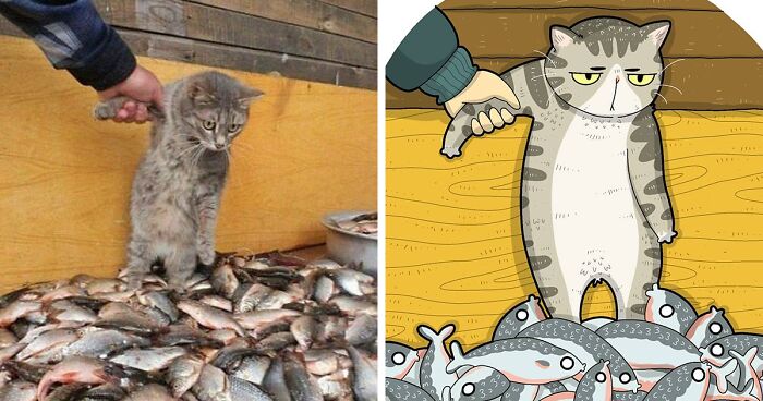 30 Of The Funniest Internet-Famous Cat Pics Get Illustrated By Tactooncat