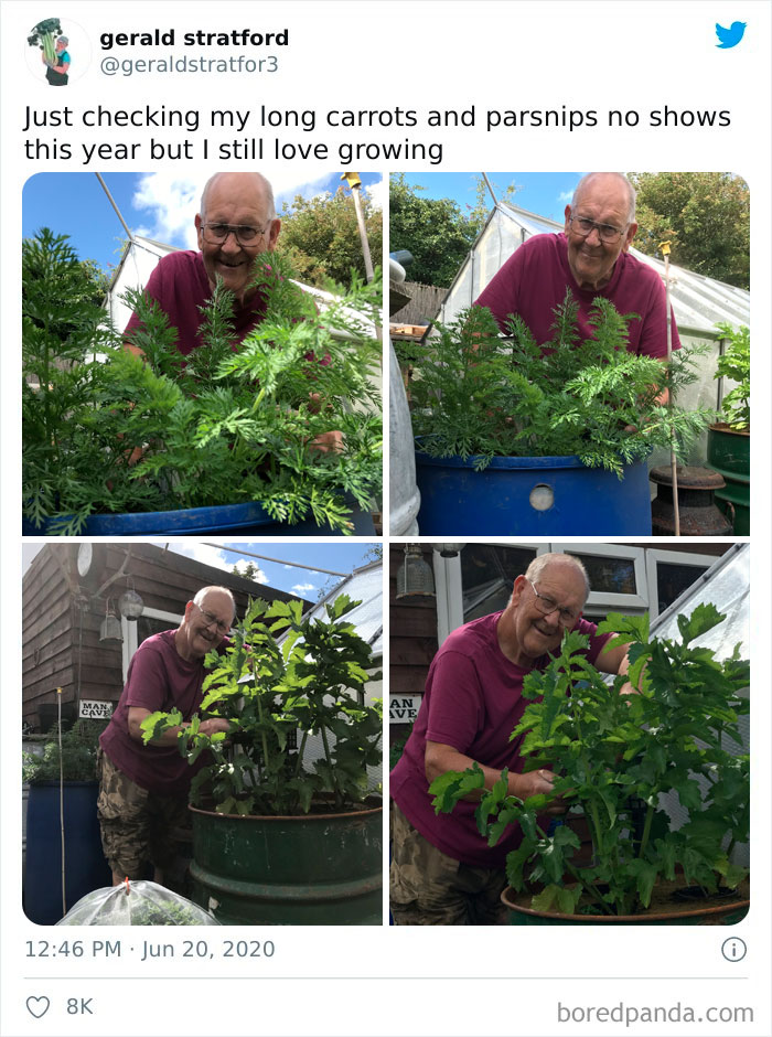 Gardener-Posts-Veggie-Photos-Gerald-Stratford