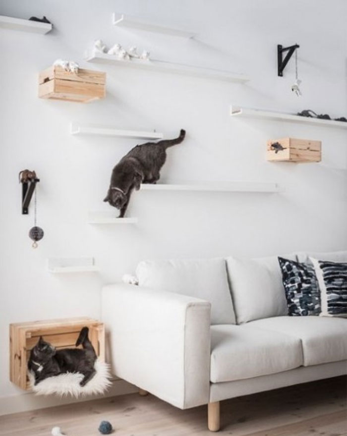 A Cat Walk Made Of IKEA Ledges And Some Crates Will Make Your Kitties Amused
