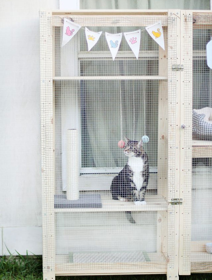 Two Hejne Shelves By IKEA Turned Into An Outside Walking Space For Your Cat