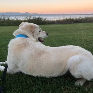 stephanie_evans88 avatar