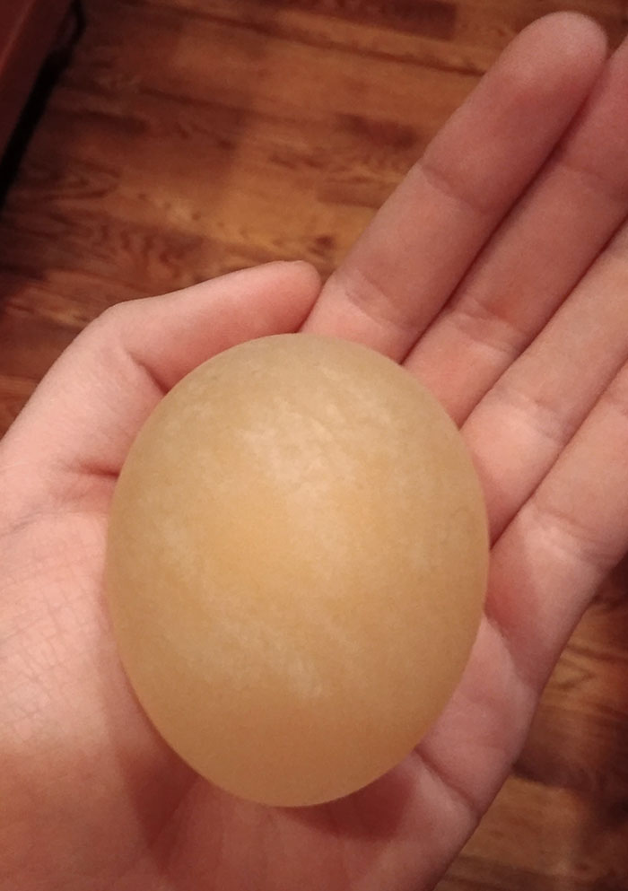 This Is What Happens To An Uncooked Egg If You Soak It In Vinegar For 24 Hours, Corn Syrup For 24 Hours, And Then Distilled Water For 24 Hours