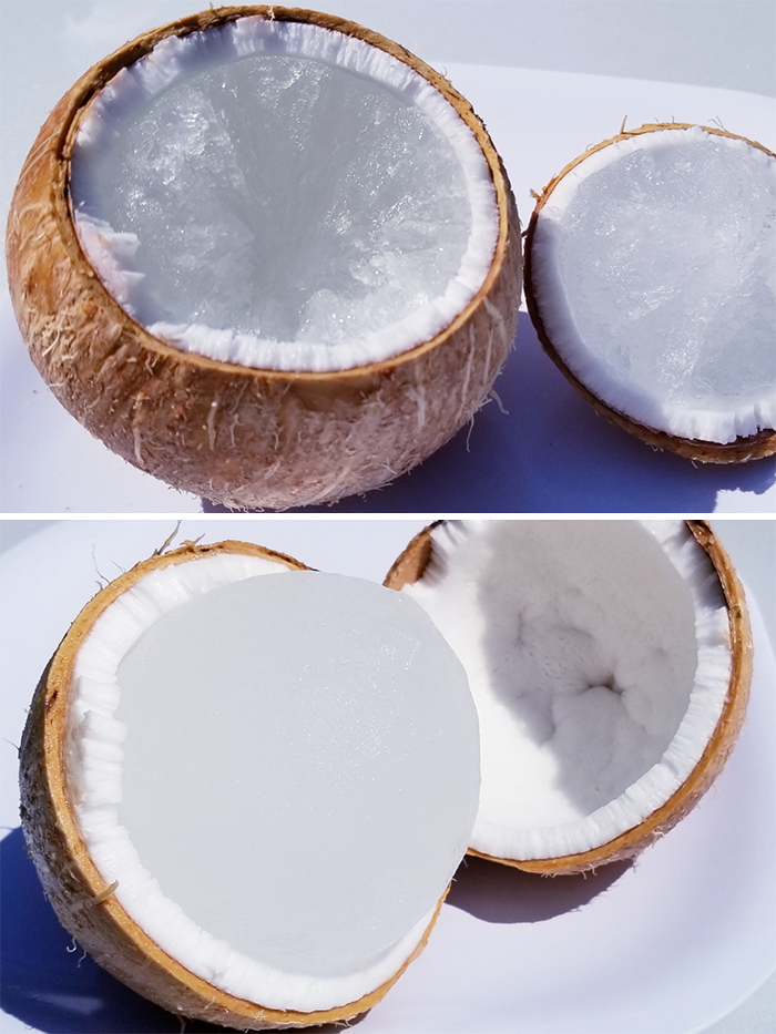 What Happens If You Leave A Coconut In The Freezer