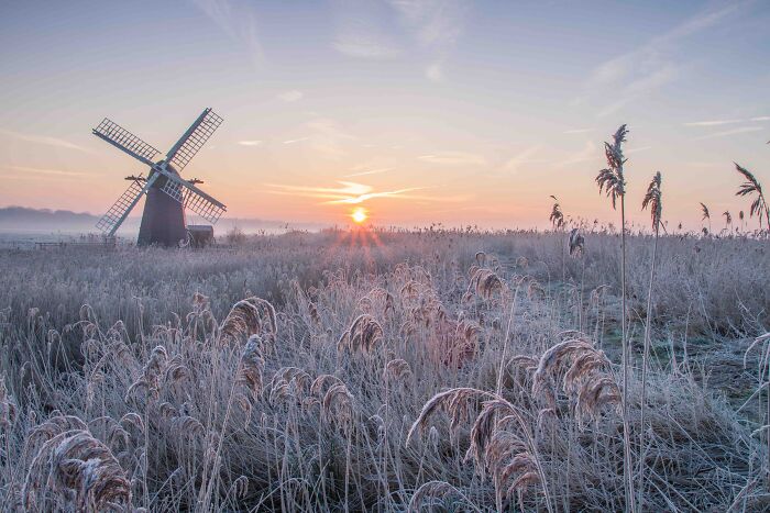 Classic View Commended: David Andrews, 'Herringfleet Frosty Sunrise', Suffolk