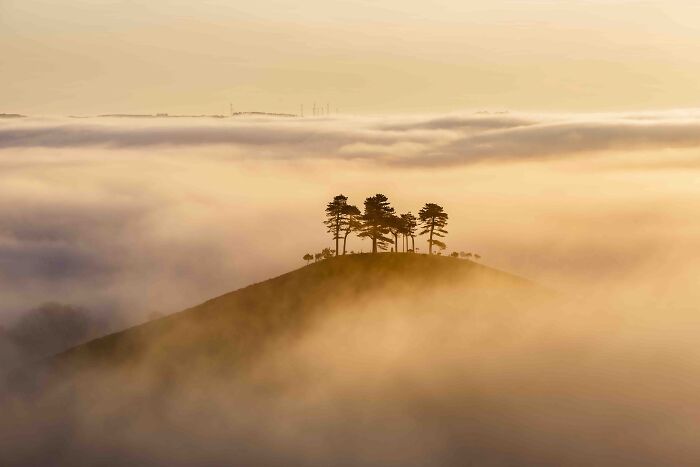 Classic View Commended: Mark Whitmarsh, 'Misty Sunrise, Colmer's Hill', Dorset