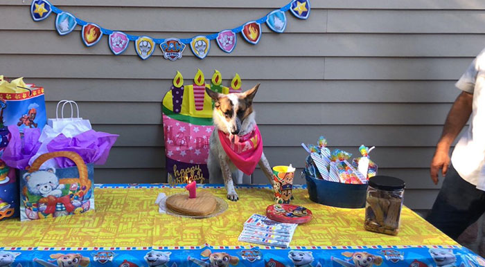 30 Latina Moms Who Totally Didn’t Want A Dog