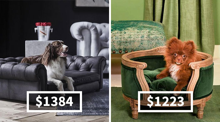 20 Luxury Furniture For Cats And Dogs That Costs More Than You Would Spend On Your Own Bed