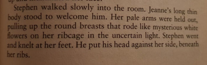 Literally What Part Of A Breast Looks Like A Goddamn Flower #submission (Birdsong, Sebastian Faulks)