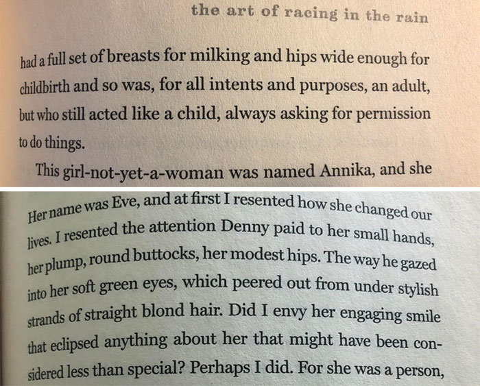 Can't Wait For Everyone To Tell Me This Is 'Just How The Character Thinks' Because The Narrator Is A Damn Dog (The Art Of Racing In The Rain, Garth Stein)