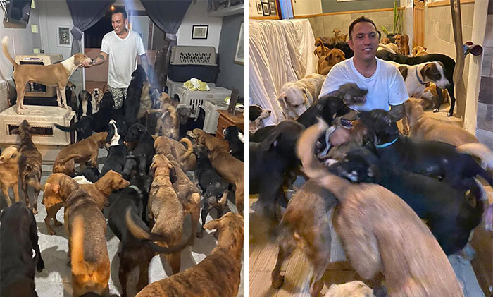 Man Brings 300 Stray Animals To His Home, Protects Them From Hurricane Delta